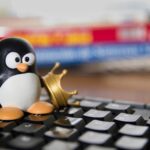 Un pingüino de juguete sobre el teclado de un computador.