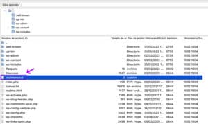 Ubicación del archivo temporal .maintenance en el directorio raíz de un sitio WordPress.